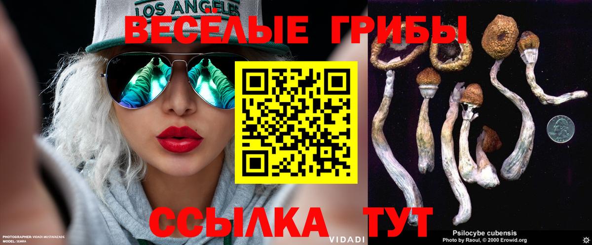 Псилоцибиновые грибы мухоморы Рубцовск